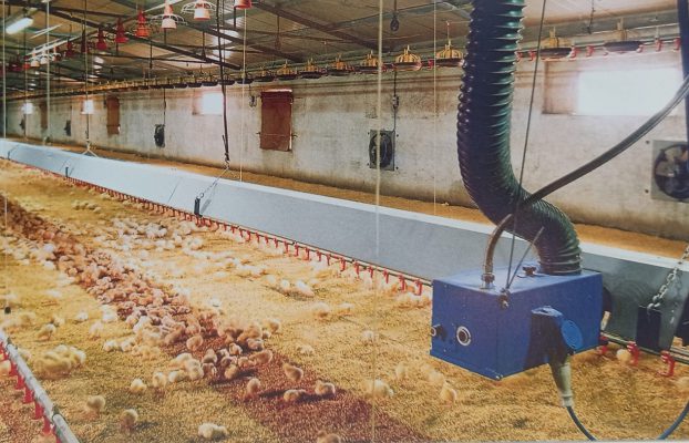 گرمایش تابشی مرغداری سیستم گرمایش تابشی آساد صنعت